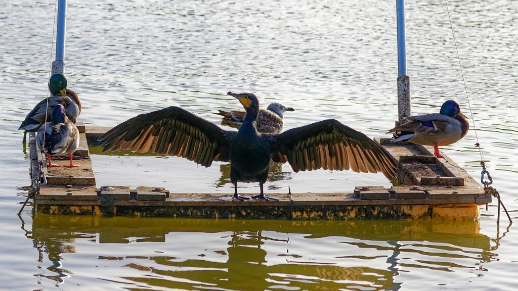 元カレと復縁後の同棲生活はどのように進めるべき？