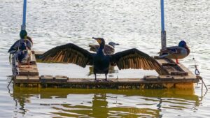 元カレと復縁後の同棲生活はどのように進めるべき？