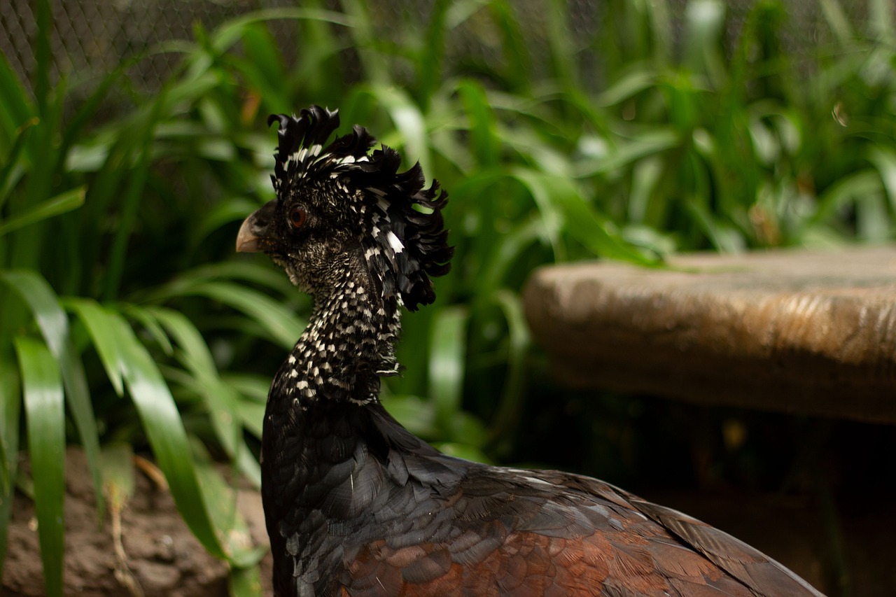 元カレとの復縁を成功させる方法は年末年始に試すべき？