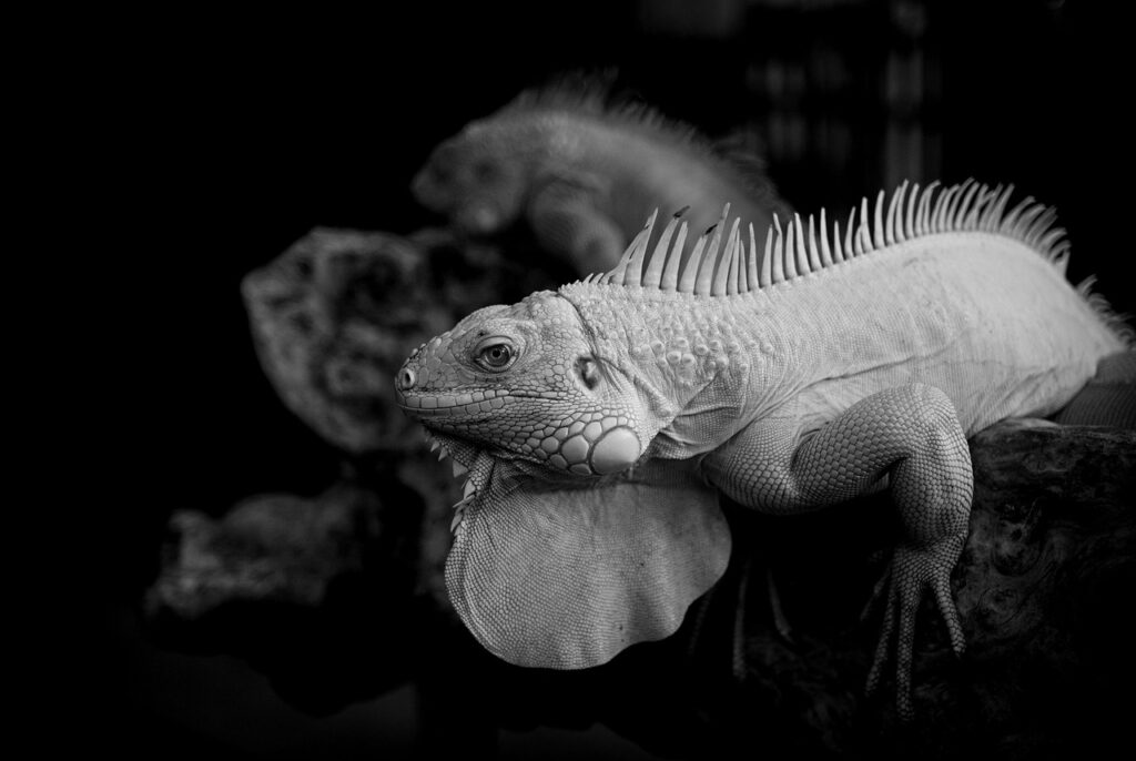 復縁が叶うおまじないは何ですか？