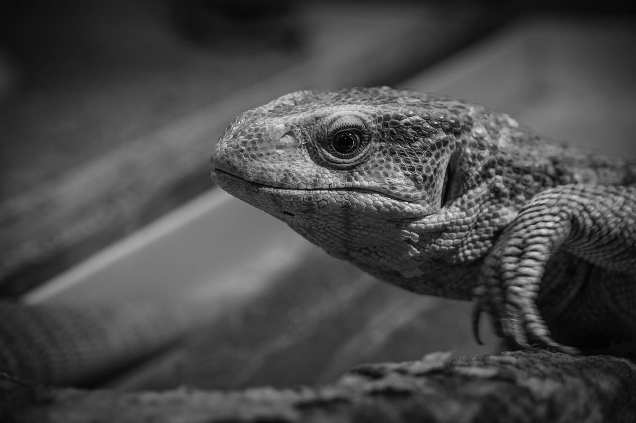 復縁を考えるあなたが相談するべき理由は？