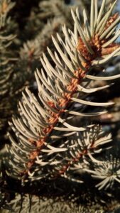 元カレを忘れられない理由は何ですか？