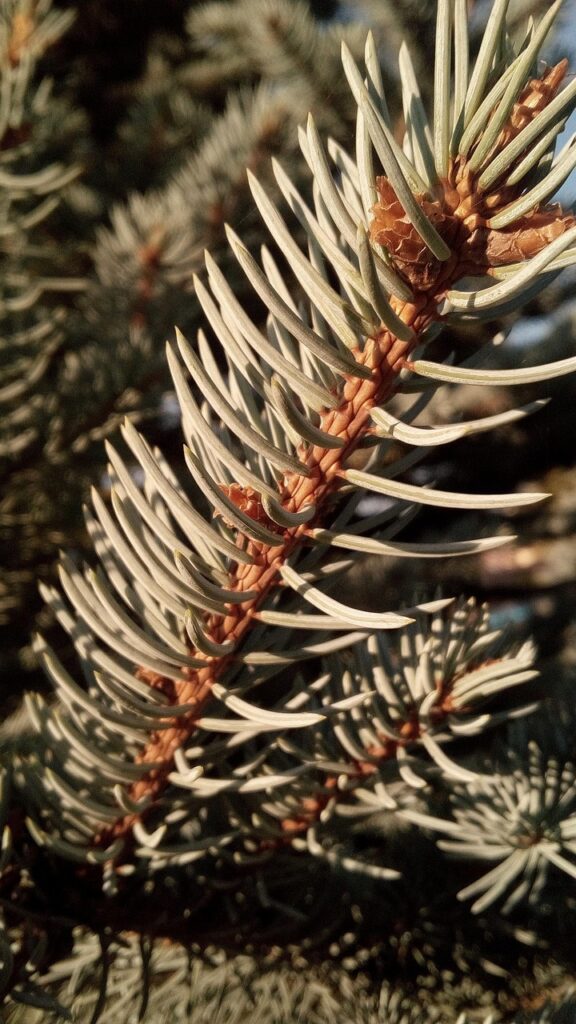 元カレを忘れられない理由は何ですか？