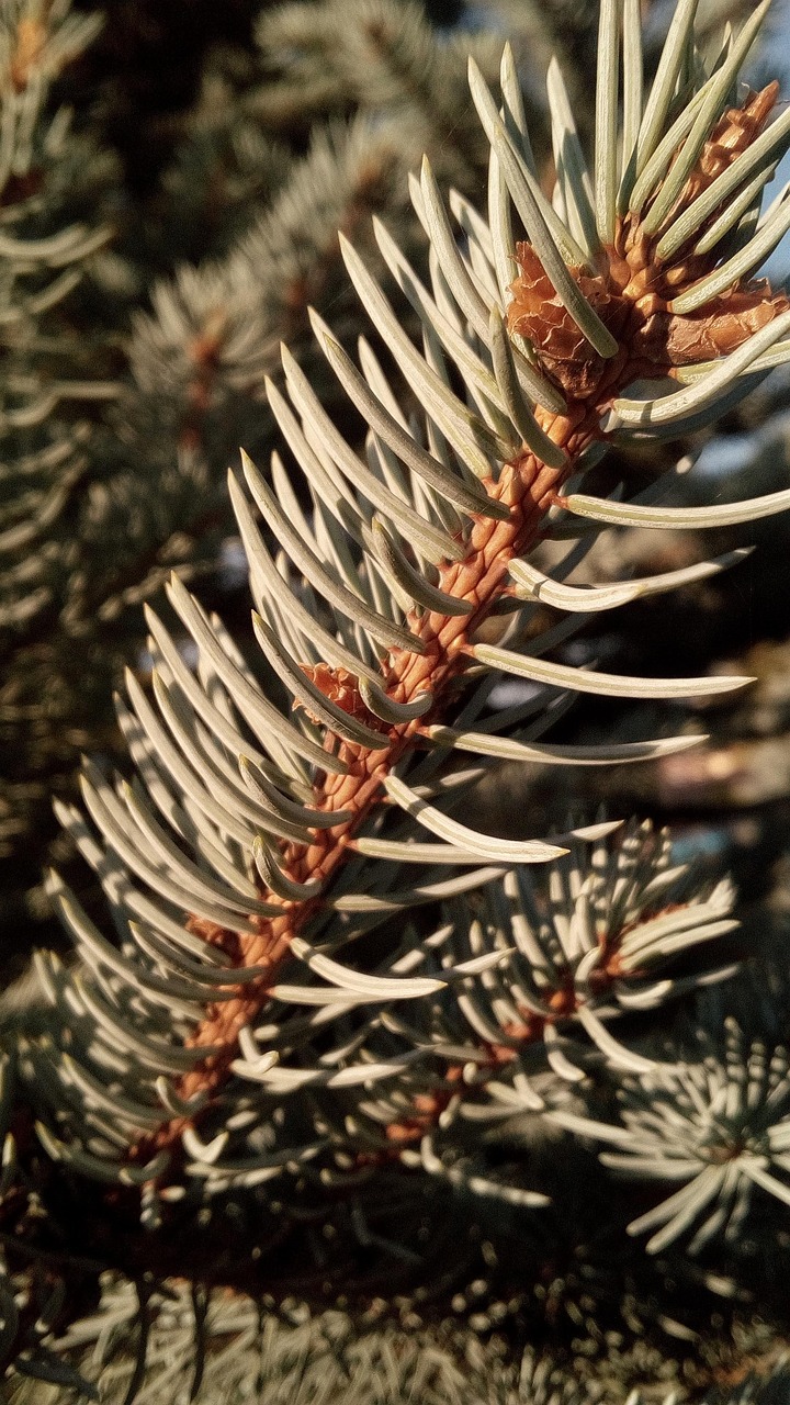 元カレを忘れられない理由は何ですか？