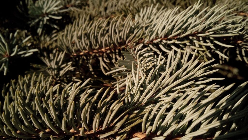 元カレを忘れられないサインとは何か？