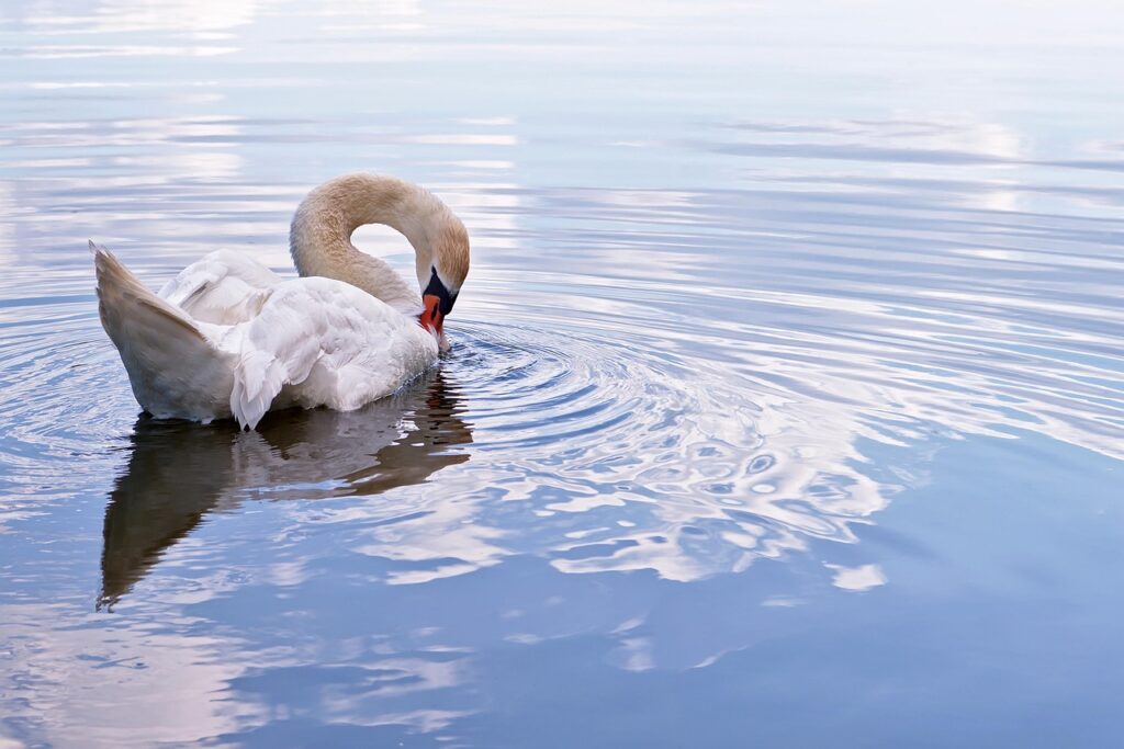 復縁を成功させるための波動修正とは何ですか？