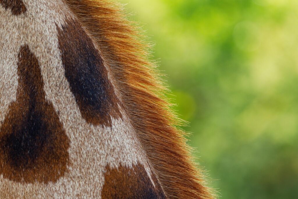 元カレが新しい彼女と復縁する可能性はあるの？