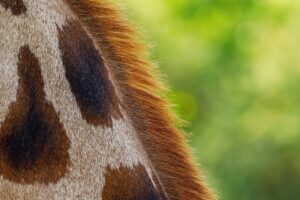 元カレが新しい彼女と復縁する可能性はあるの？