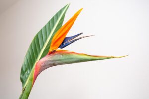 元カレとの復縁が的中する体験談とは？