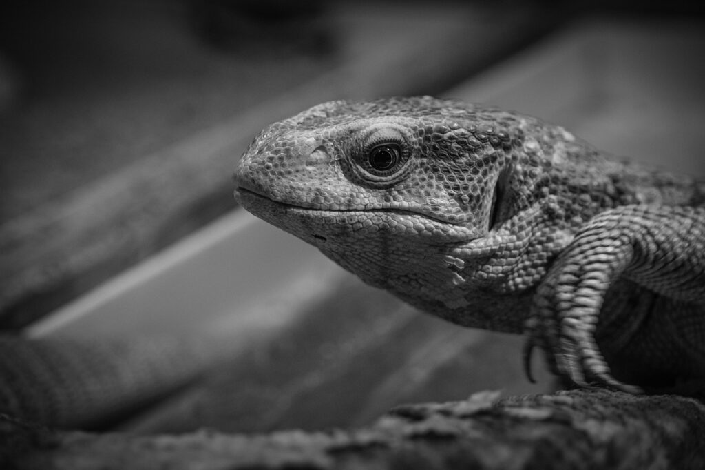 元カレと復縁するために連絡するのはいつがベスト？