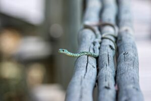 元カレとのLINE会話を続けるためのコツは？