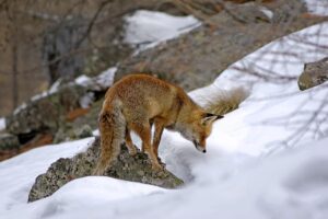 元カレと復活するための最強の方法は？